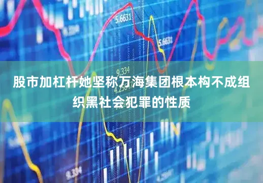股市加杠杆她坚称万海集团根本构不成组织黑社会犯罪的性质