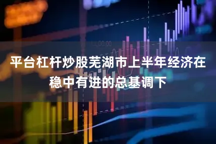 平台杠杆炒股芜湖市上半年经济在稳中有进的总基调下