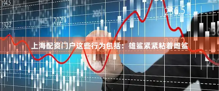 上海配资门户这些行为包括：雄鲨紧紧粘着雌鲨